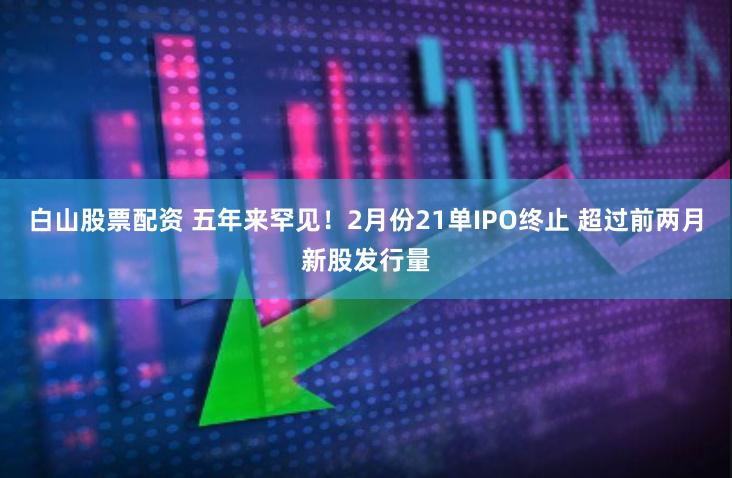 白山股票配资 五年来罕见！2月份21单IPO终止 超过前两月新股发行量